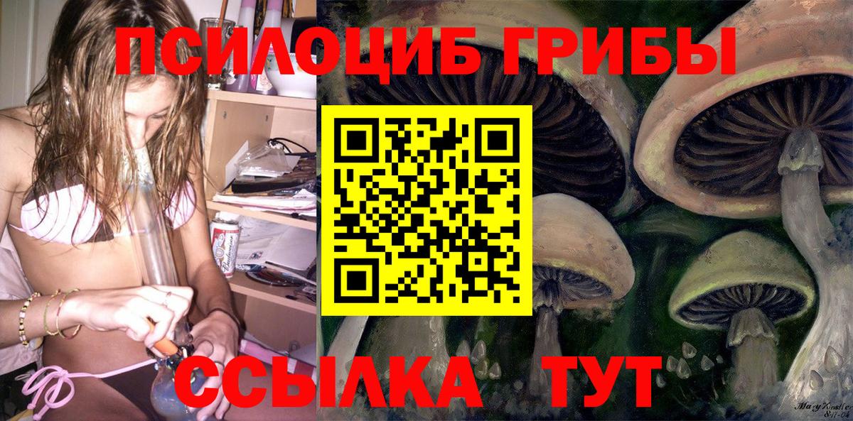 Березники  Псилоцибиновые грибы Magic Shrooms  Вход с VPN  Псилоцибиновые грибы мицелий 